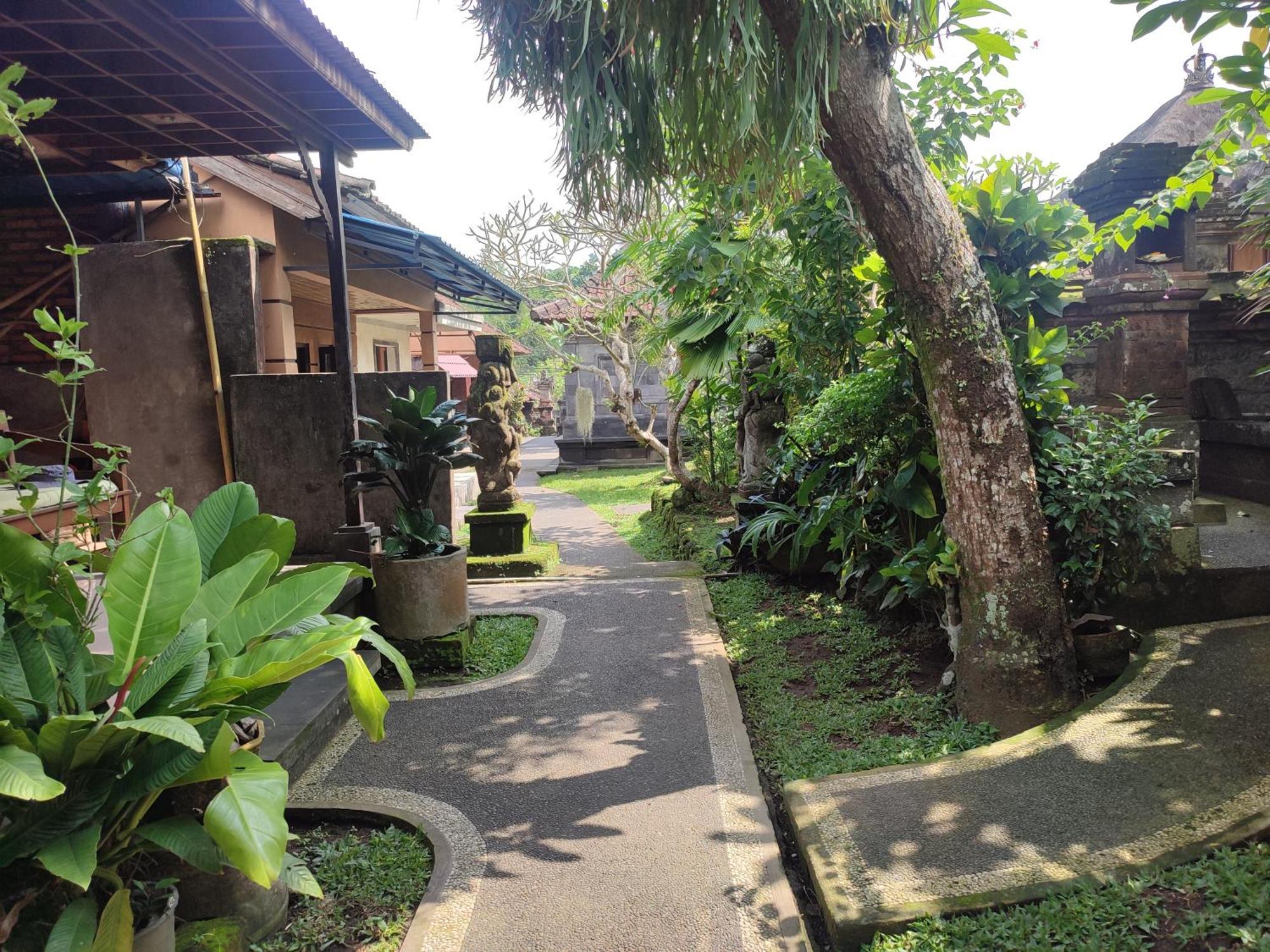 Bhuana Shanti Homestay Ubud Rum bild